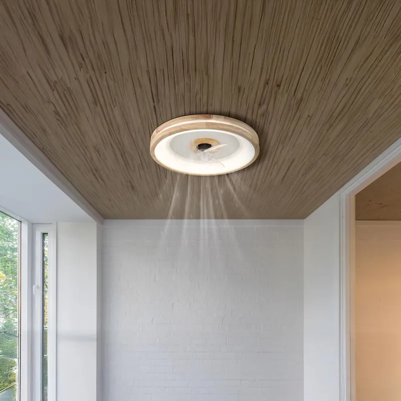 Sonderaktion LED Deckenleuchte, Ventilator, CCT, Dimmer, Nachtlicht, Timer, Fernbedienung, 50 cm Ø